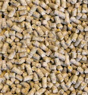 Alimentation gibier